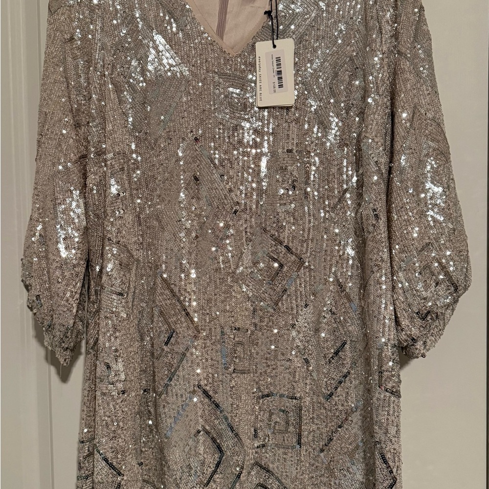 Silver Sequins Dress